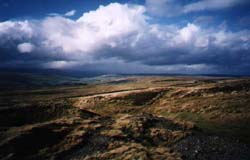A photograph of the view from Allenhead, Available at: http://www.acart.org.uk/page5.html